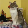 Отзыв от Евгения Сидорова